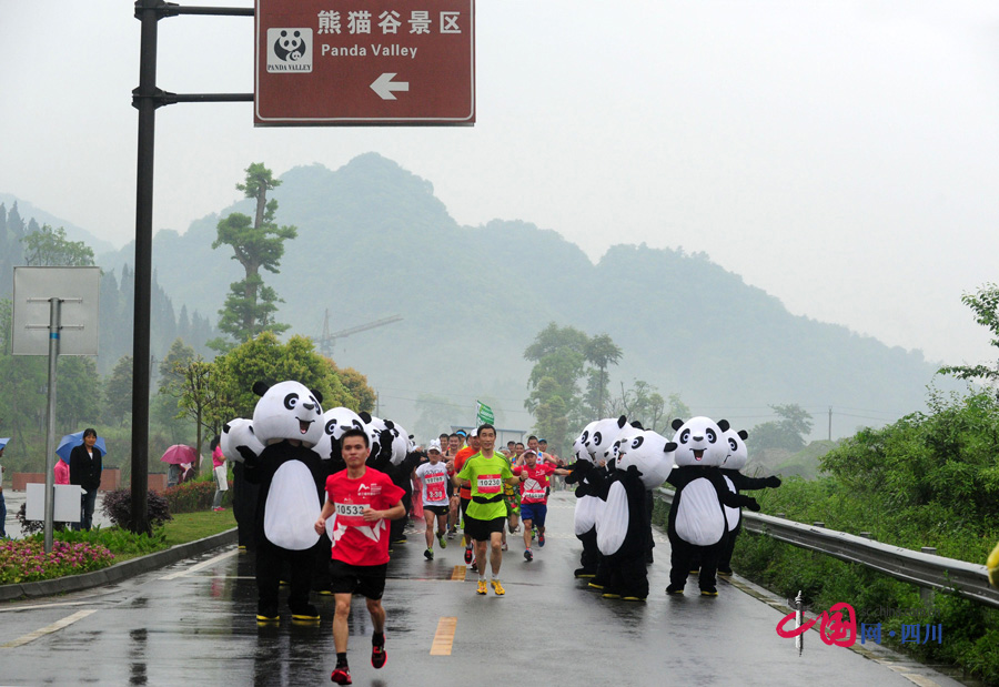 大熊貓陪你一起跑！